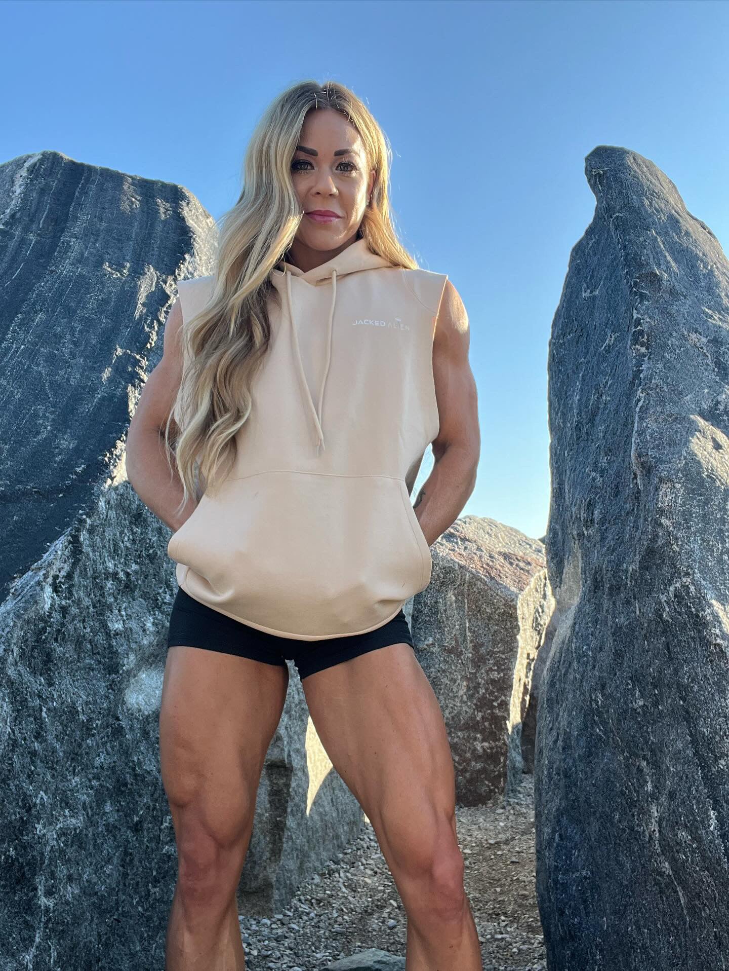 Desert Sleeveless Hoodie